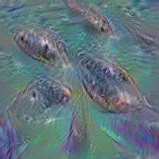 n02058221
